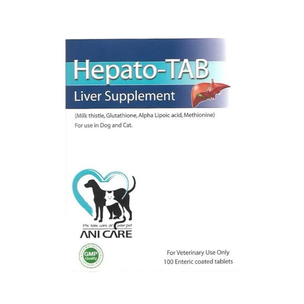 ヘパトタブ・リバーサプリメント　100錠