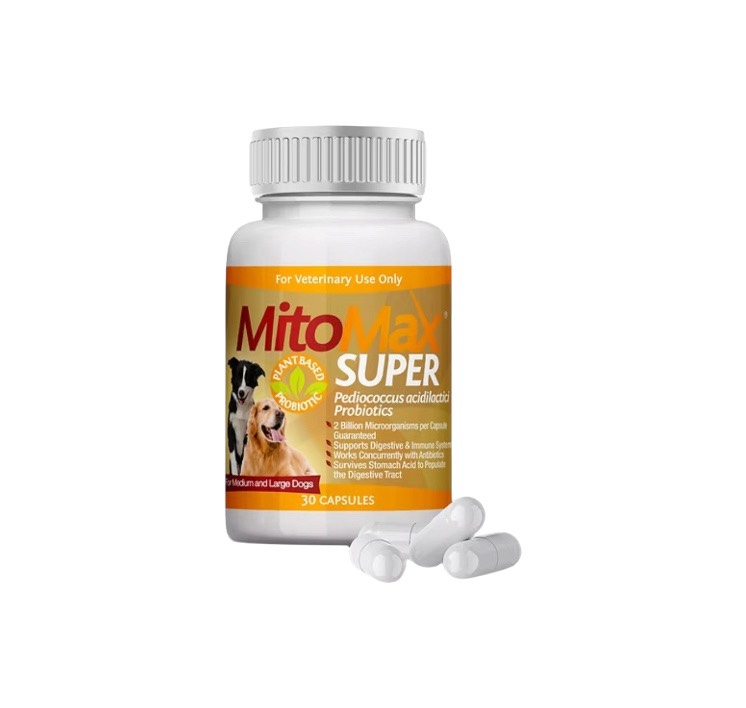 MitoMax SUPER 中型・大型犬用プロバイオティクス（30カプセル）